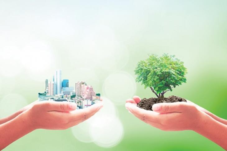 News: Richard Hammond: Sustainable Design