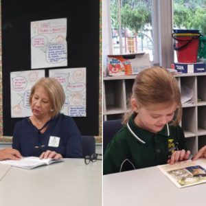 Support-a-reader programme