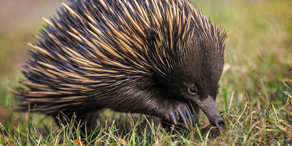 News: Welcome to the Spring Edition