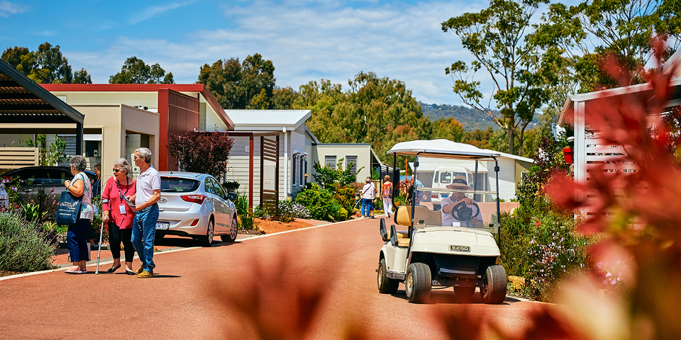 News: Welcome to Summer 2024/2025