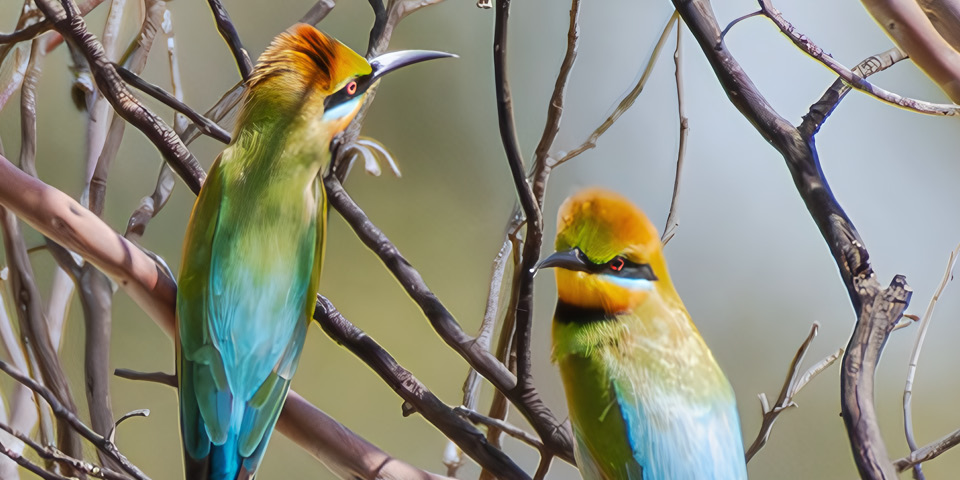 News: Welcome to Winter 2025