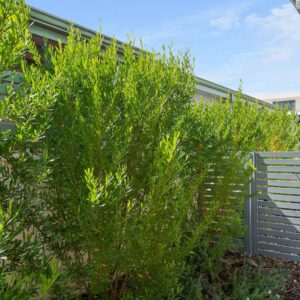 Helena Valley Resort