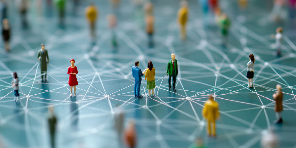 News: The Value of Social Connection