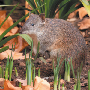 Welcome to the Spring Edition